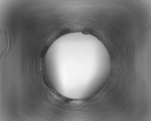 X0000065240133200602171004