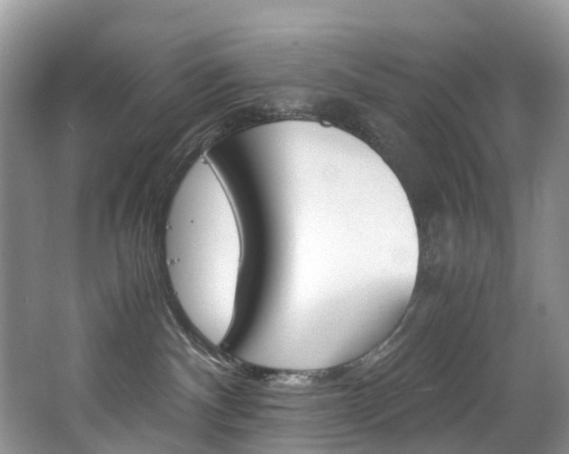 X0000065240140200602171004
