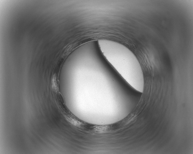 X0000065240143200602171004