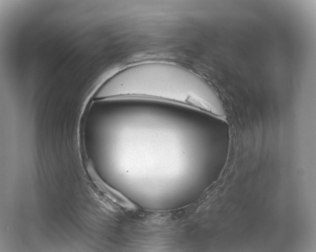 X0000065240148200602171003