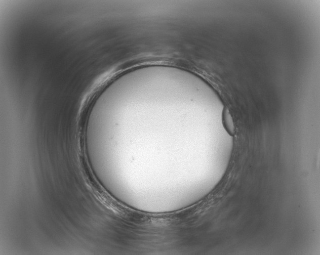 X0000065240149200602171003