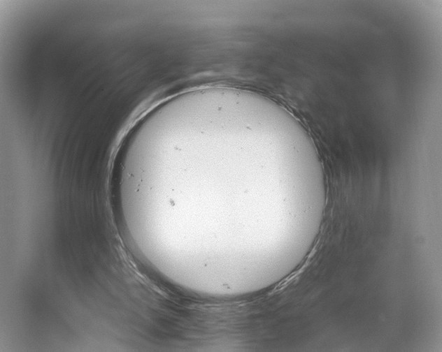 X0000065240150200602171003