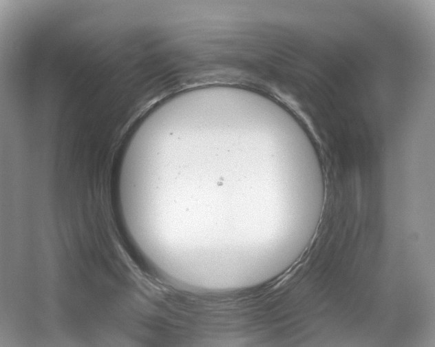 X0000065240154200602171003