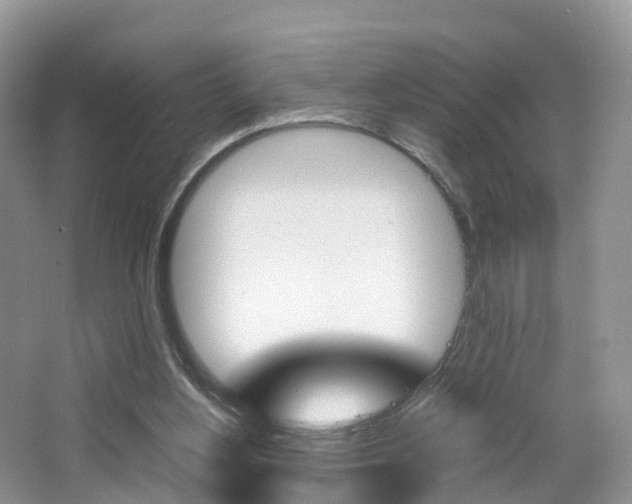 X0000065240156200602171004