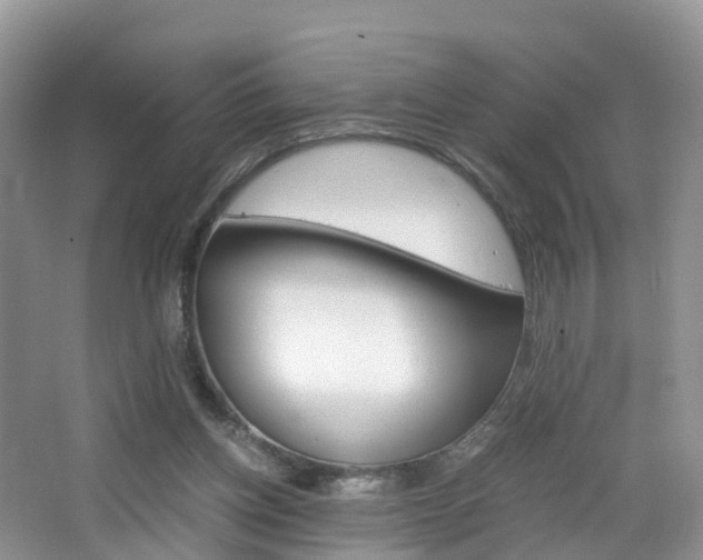 X0000065240158200602171004