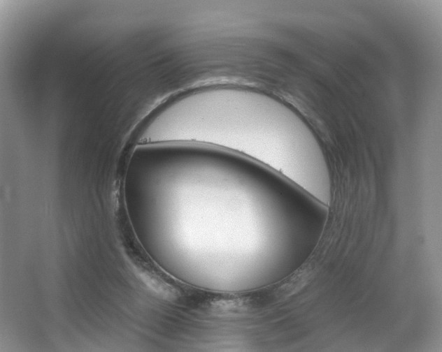 X0000065240160200602171004