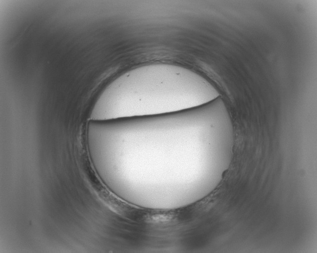 X0000065240163200602171004