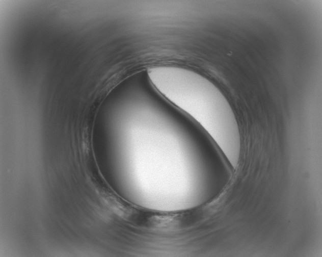 X0000065240170200602171004