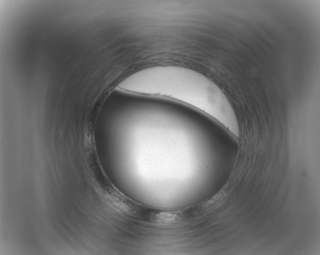 X0000065240176200602171004