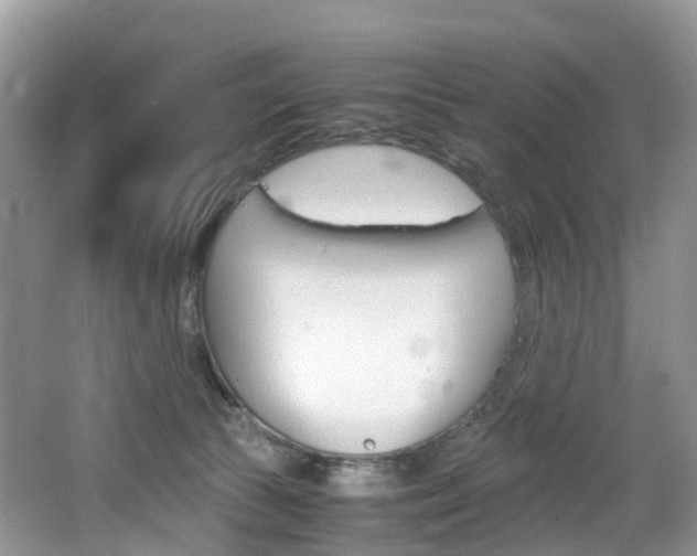 X0000065240177200602171004