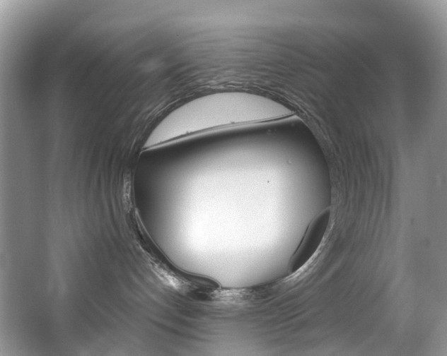 X0000065240192200602171004