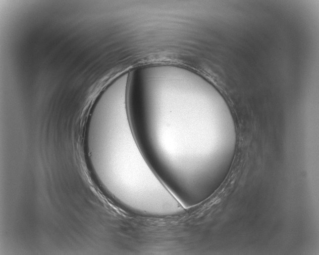 X0000065240193200602171003