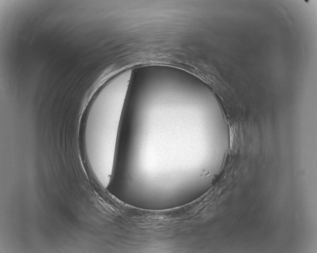 X0000065240195200602171003