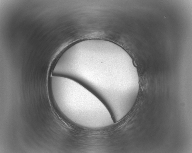 X0000065240196200602171003