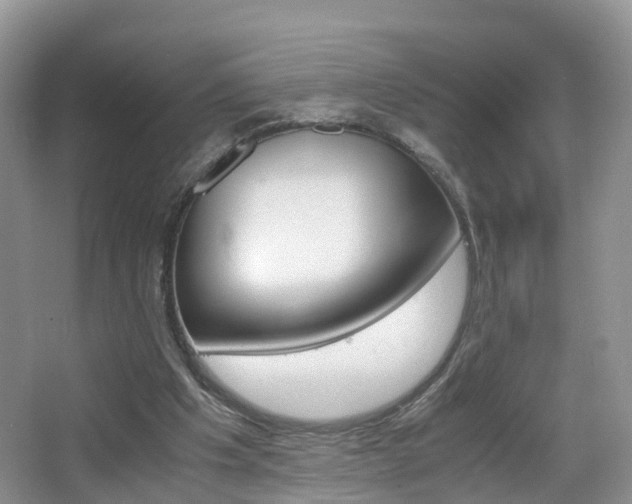 X0000065240201200602171003