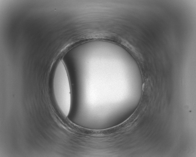 X0000065240203200602171003