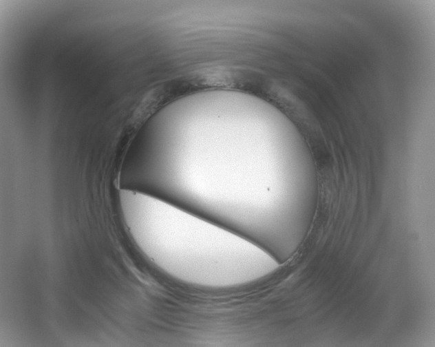 X0000065240213200602171003