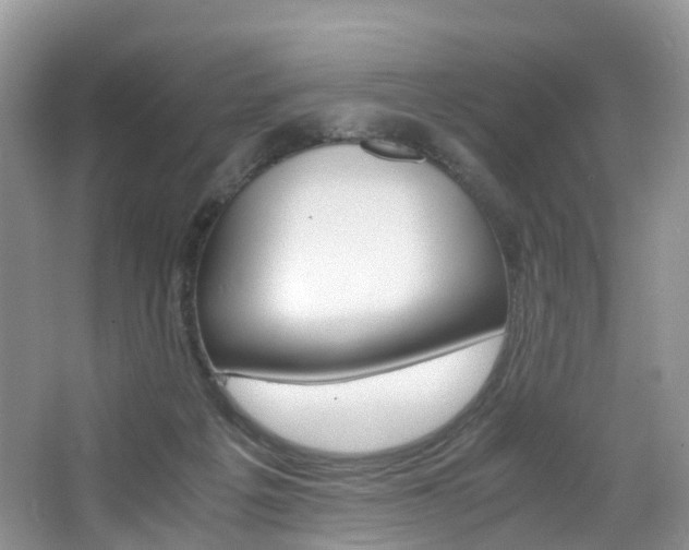 X0000065240217200602171003