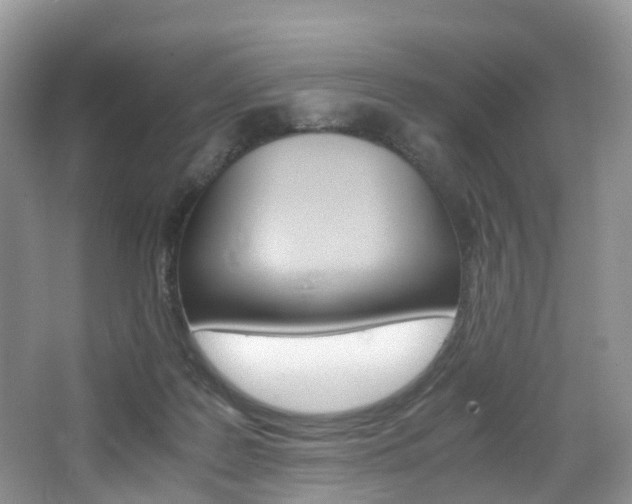 X0000065240219200602171003