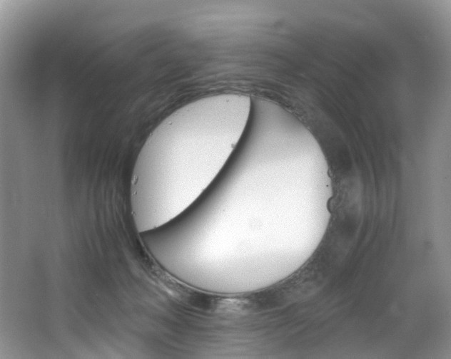 X0000065240222200602171003