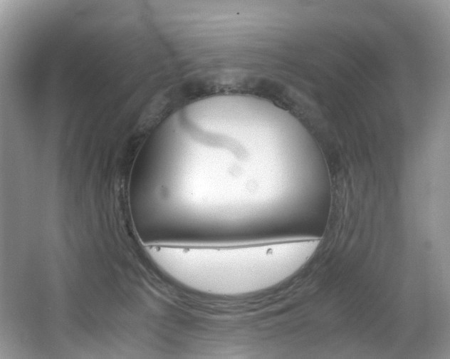 X0000065240225200602171003