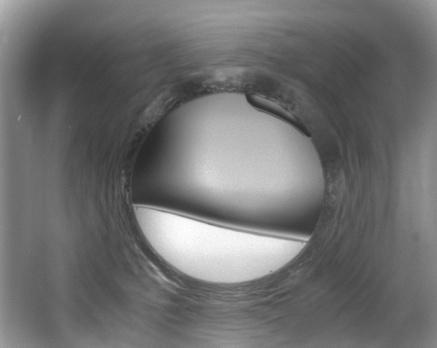 X0000065240231200602171003
