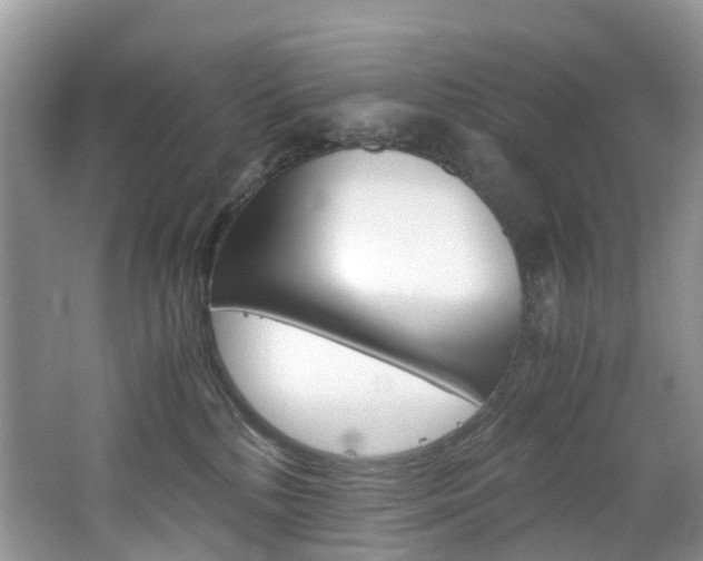 X0000065240232200602171003