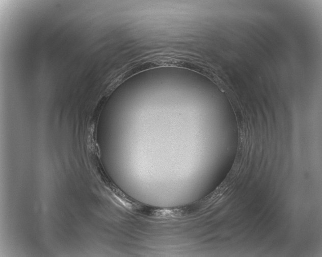 X0000065240239200602171003