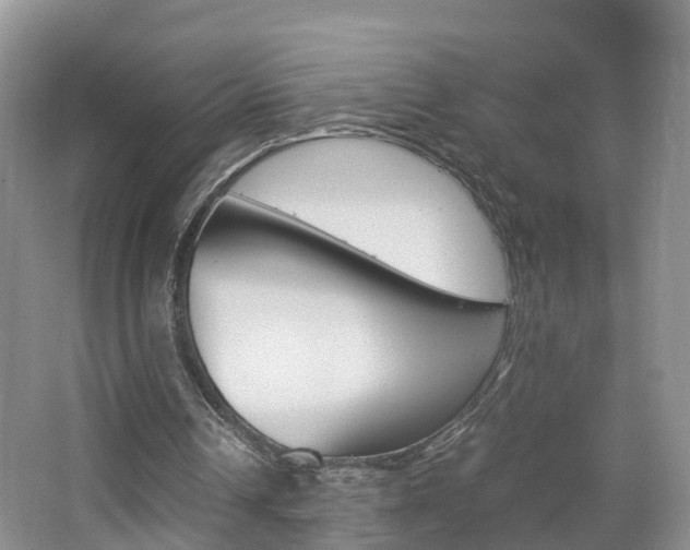 X0000065240242200602171002