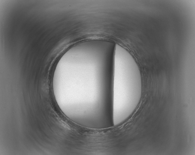 X0000065240243200602171002