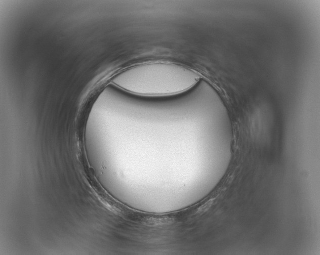 X0000065240245200602171002