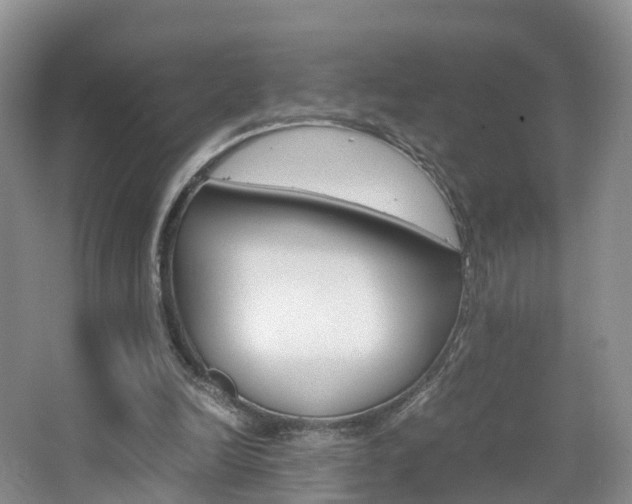 X0000065240246200602171002