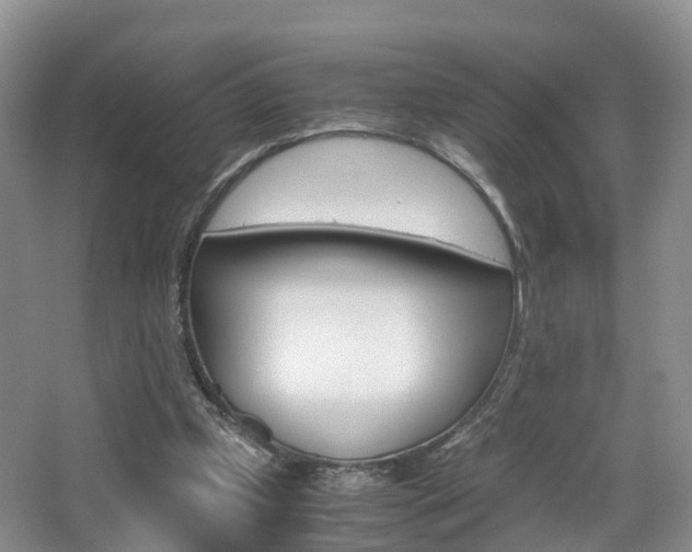 X0000065240249200602171002