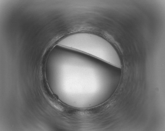 X0000065240250200602171002
