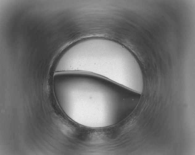 X0000065240252200602171002