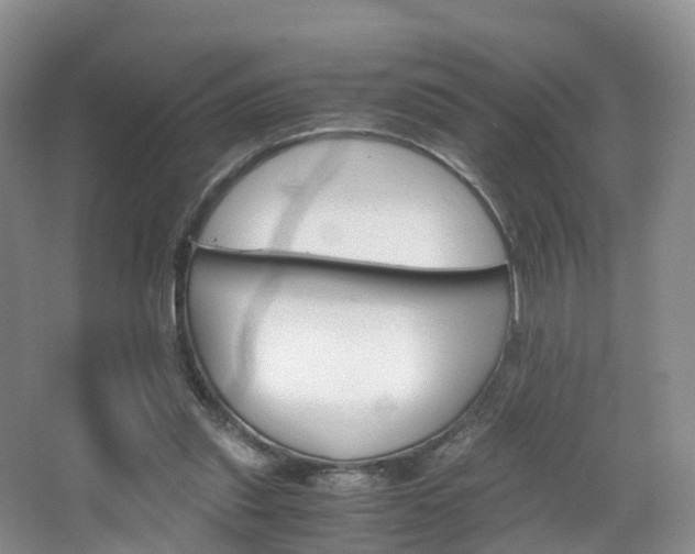 X0000065240253200602171002