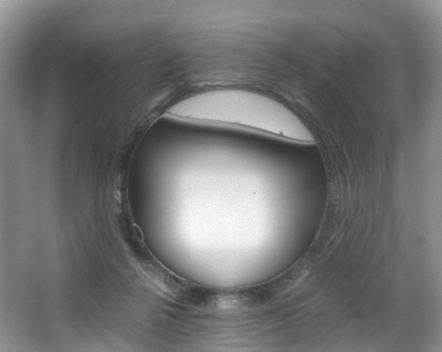 X0000065240264200602171002