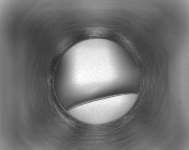 X0000065240265200602171002