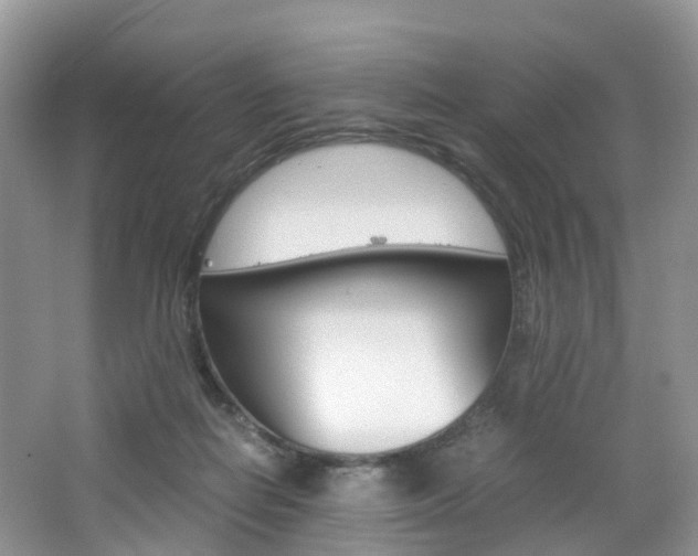 X0000065240266200602171002