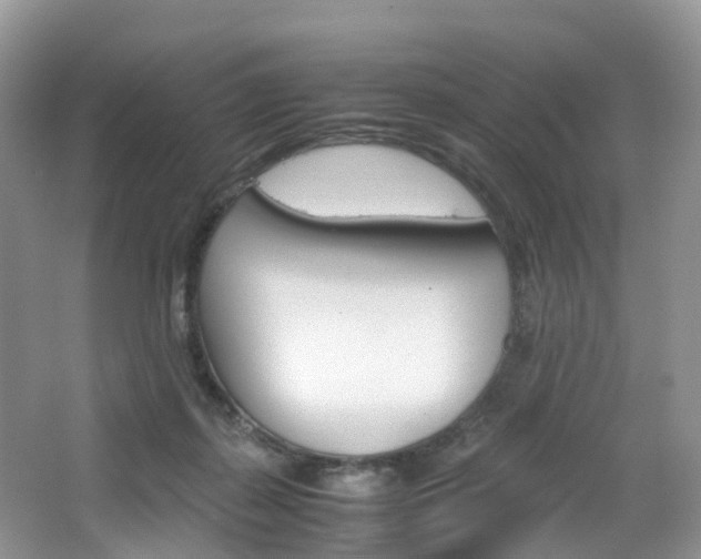 X0000065240267200602171002