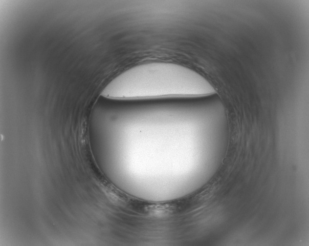 X0000065240273200602171002