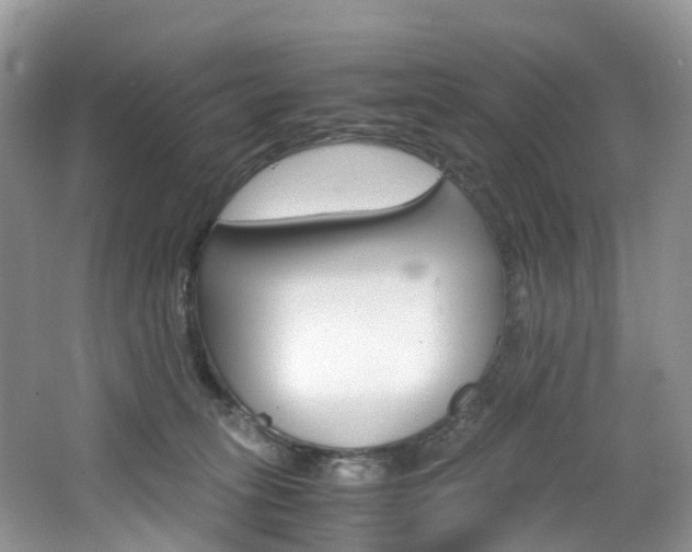 X0000065240275200602171002