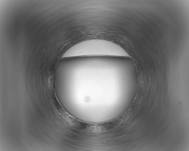 X0000065240276200602171002