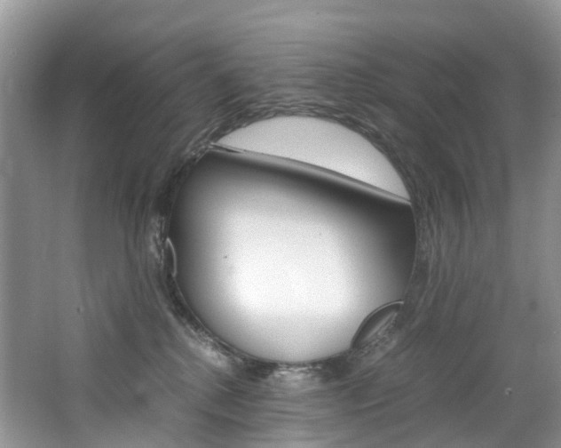 X0000065240280200602171002