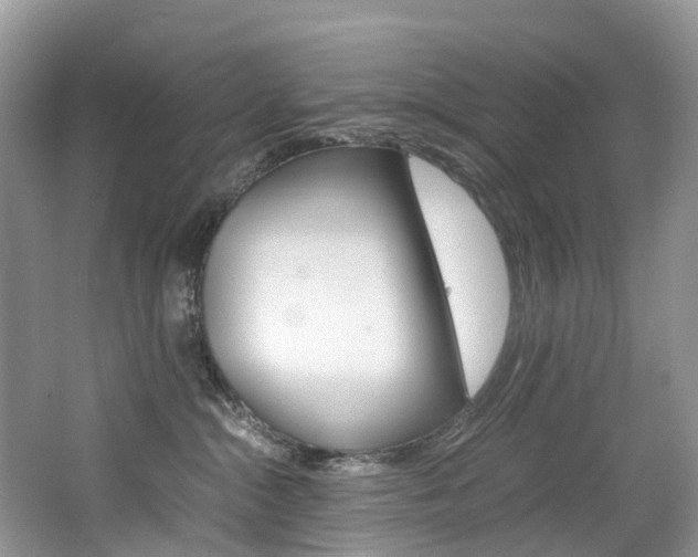 X0000065240284200602171002
