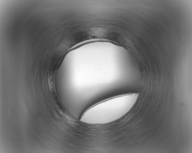 X0000065240285200602171002