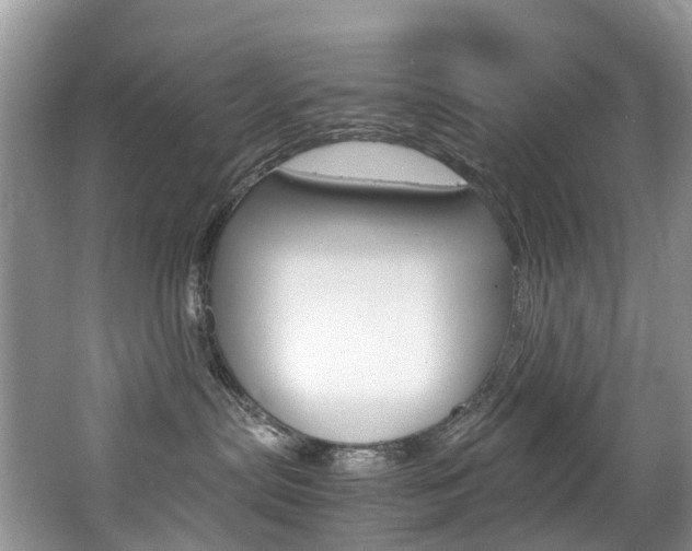 X0000065240287200602171002