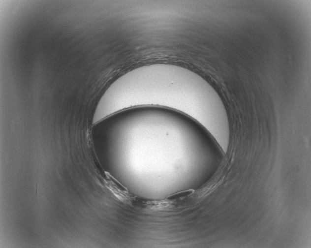 X0000065240288200602171002