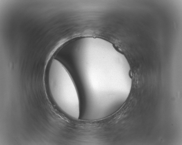 X0000065240292200602171002