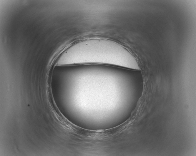 X0000065240293200602171002